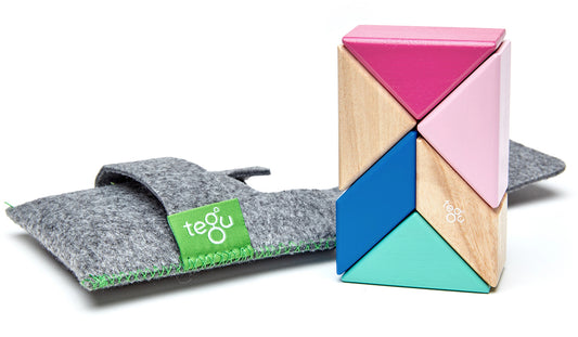 Tegu Pocket Pouch Prism 6 Piece Magnetic Blocks - Blossom