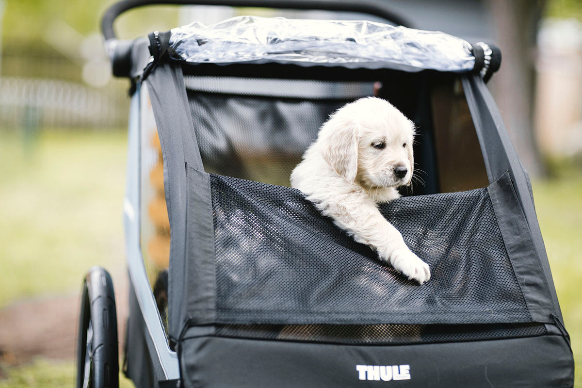 Thule Courier Pet Kit - Aegean Blue