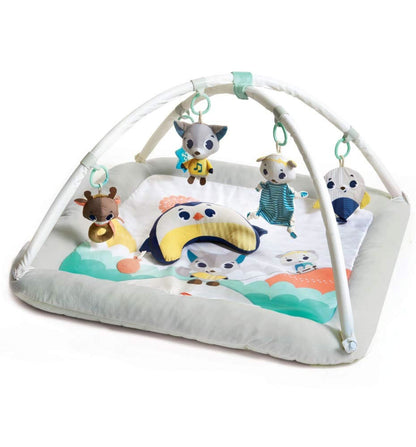 Tiny Love Polar Wonders Plush Gymini Activity Mat