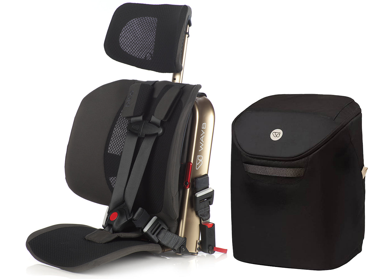 WAYB Pico Forward Facing Travel Car Seat + Carry Bag Bundle - Earth / Onyx