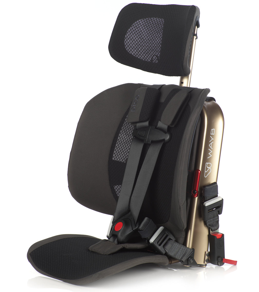 WAYB Pico Forward Facing Travel Car Seat - Earth