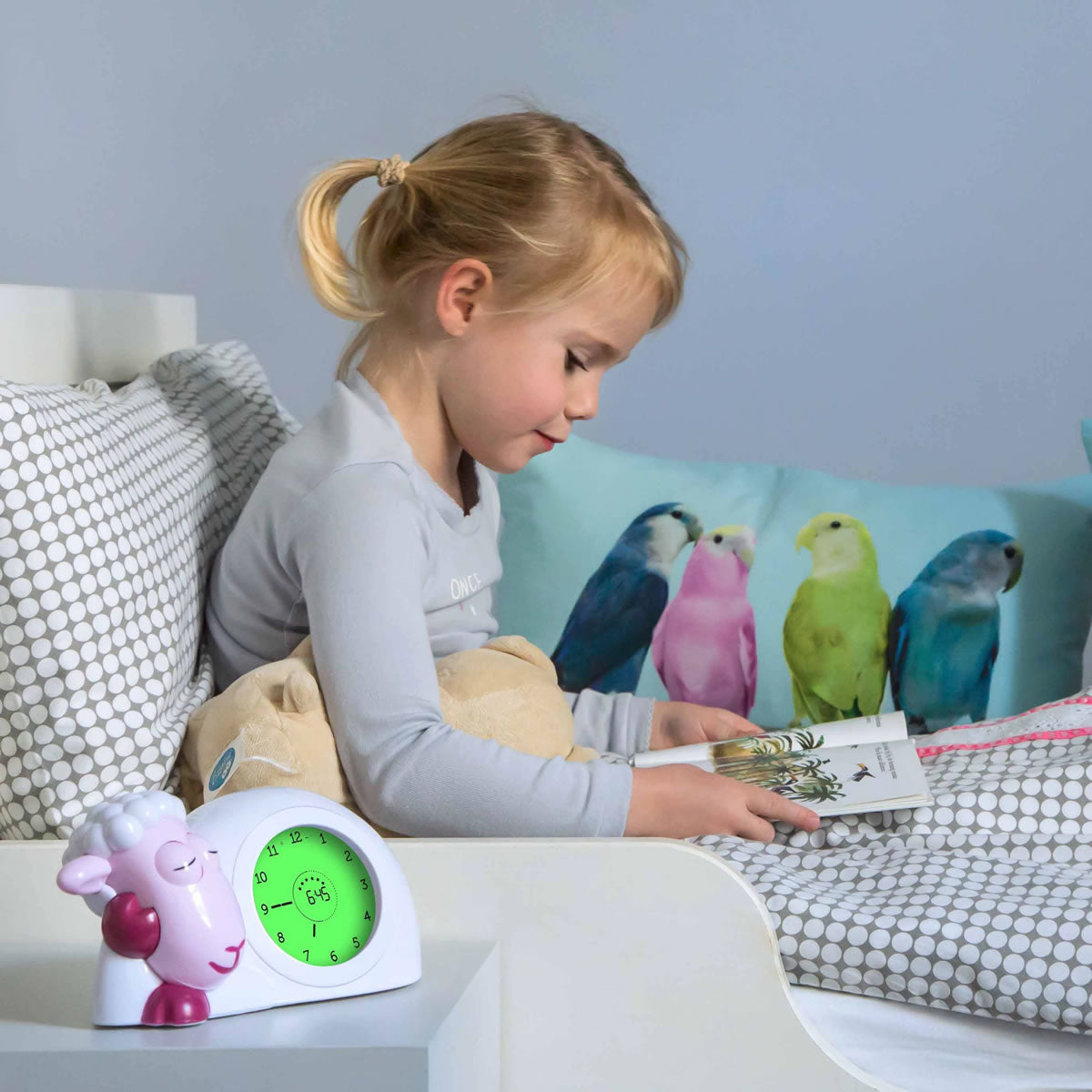 Zazu SAM Sleep Trainer & Nightlight - Grey